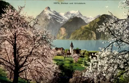 Ak Sisikon am Vierwaldstättersee Kanton Uri, Berglandschaft, See, blühende Bäume, Ort  Urirotstoc