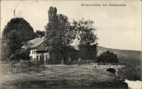 Ak Halberstadt am Harz, Molkenmühle, Gebäude, Kinder