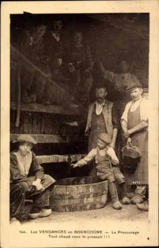 Ak Vendanges en Bourgogne, Le Pressurage