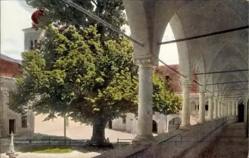 Ak Millstatt am See Kärnten, Klostergang, Baum, Säulen,  Gurktaler Alpen