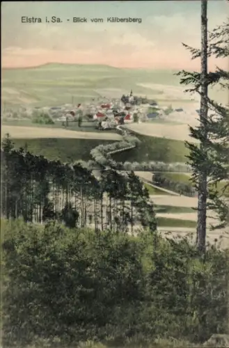 Ak Elstra in der Oberlausitz Sachsen, Blick vom Kälbersberg, Stadtansicht, ländliche Umgebung, Bä