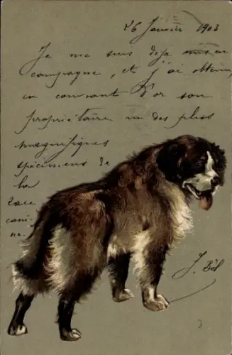 Präge Künstler Ak Hund, Tierportrait