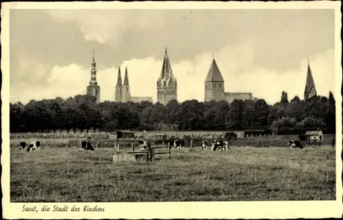 Ak Soest in Westfalen,  Stadt der Kirchen, Kühe auf der Wiese,  Gebäude