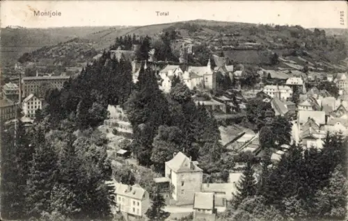Ak Monschau Montjoie in der Eifel,  Gesamtansicht, Bäume, Häuser, Hügel