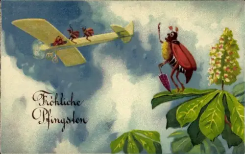 Ak Glückwunsch Pfingsten, Maikäfer