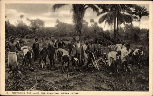 PC Sierra Leone, Preparing the Land for Planting