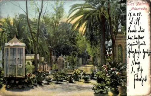 Ak Las Palmas de Gran Canaria Islas Canarias, Alameda