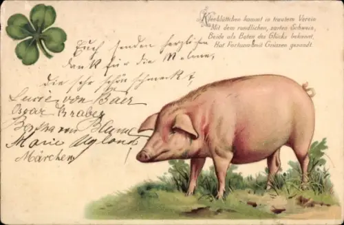 Ak Glückwunsch, Schwein, Glücksklee