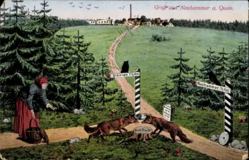 Ak Świętoszów Neuhammer am Queis Schlesien, Vorderseite mit Landschaft, Weg, Frau mit Korb, Tiere