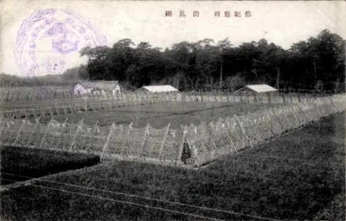 Ak Ōmihachiman Präfektur Shiga Japan, Feldlandschaft, Zäune, Gebäude, Bäume, Japanische Schrift