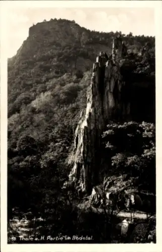 Ak Thale im Harz, Felsen im Bodetal, Wald, Berglandschaft, Schwarz-Weiß-Foto