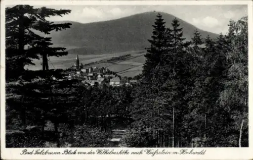 Ak Szczawno Zdrój Bad Salzbrunn Niederschlesien, Blick von der Wilhelmshöhe, Weißstein, Hochwald