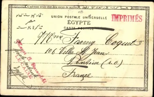 CPA Égypte, Les boeufs dans le Nil