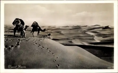 CPA Egyptian Types and Scenes, Desert