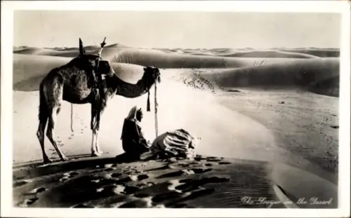 Ak Ägypten, Gebet in der Wüste, Kamel