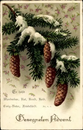 Präge Ak Frohe Weihnachten, Gesegneter Advent, Tannenzweig
