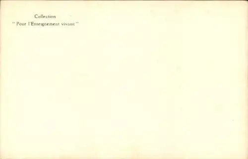 Ak Madagaskar, Sakalve, Afrikaner