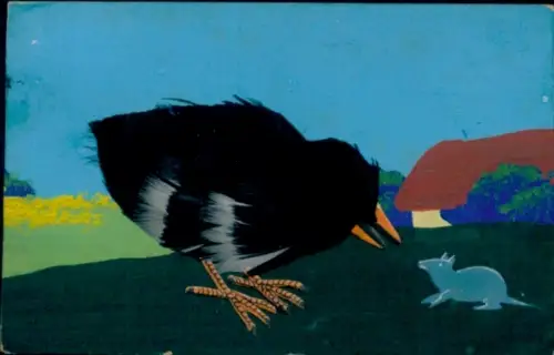 Material Ak Vogel mit echten Federn, Maus