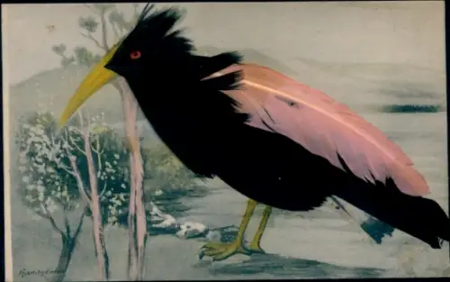 Material Ak Vogel mit echten Federn