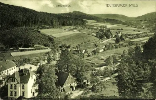 Ak Berlebeck Detmold im Teutoburger Wald, Gesamtansicht