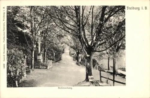 Ak Freiburg im Breisgau, Schlossberg, Bäume, Weg, Schwarz-Weiß-Foto