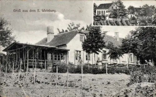 Ak Świebodzin Schwiebus Ostbrandenburg, II. Weinberg, Gastwirtschaft