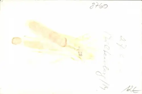 Foto Miltenberg am Main Unterfranken, Gasthof-Café