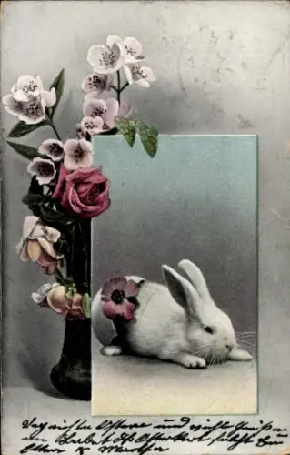 Ak Weißes Kaninchen, Blumen in der Blumenvase, Rosen