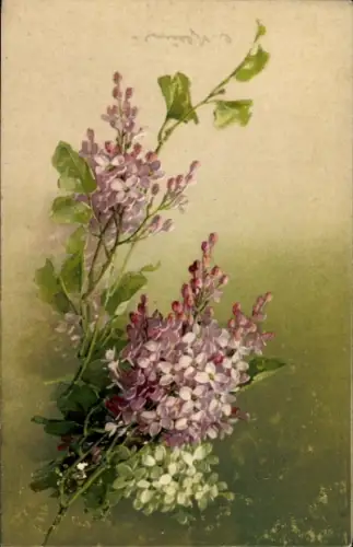Künstler Ak Klein, C., Blühende Zweige, Blüten, Blumen