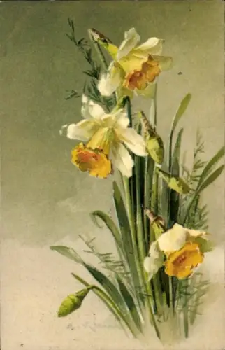 Künstler Ak Klein, C., Gelbe Narzissen