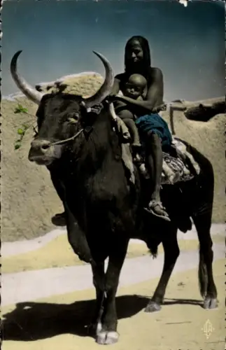 CPA Afrique, Boeuf porteur