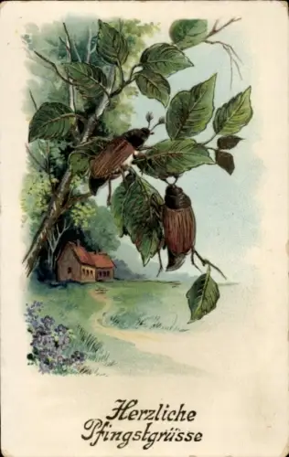 Künstler Ak Glückwunsch Pfingsten, Dorfidyll, Maikäfer