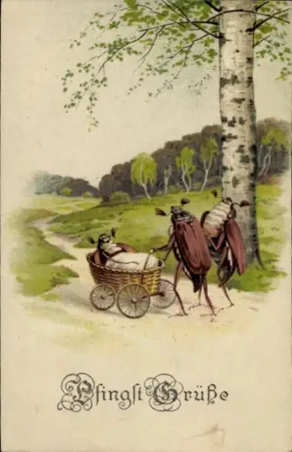 Litho Glückwunsch Pfingsten, Maikäfer, vermenschlicht, Birke