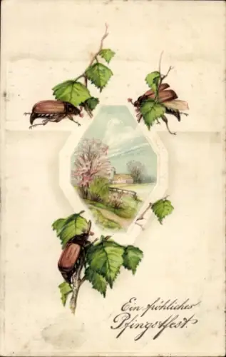 Präge Passepartout Ak Glückwunsch, Pfingsten, Maikäfer