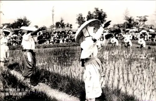 Ak Japan, Taga Taisha Schrein, Otaue Reispflanzfest (Otaue Shinji), traditionelle Zeremonie