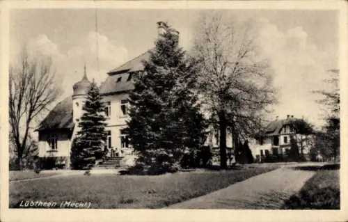 Ak Lübtheen in Mecklenburg, Lübtheen (Meck), Gebäude, Bäume, Straße