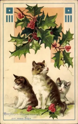 Ak Frohe Weihnachten, Hauskätzchen, Stechpalmenblätter