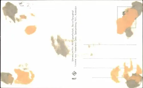 Ak Sänger Rex Gildo, Porträt