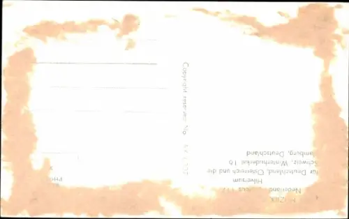 Ak Sänger Dave Berry, Porträt