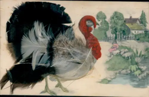 Material Ak Truthahn mit echten Federn