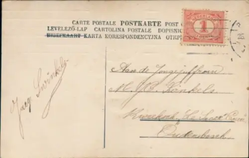 Material Ak Truthahn mit echten Federn