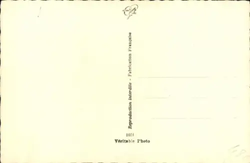 Ak Portrait eines Spaniels