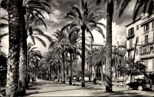 Ak Palma de Mallorca Balearische Inseln Spanien, Paseo de Sagrera