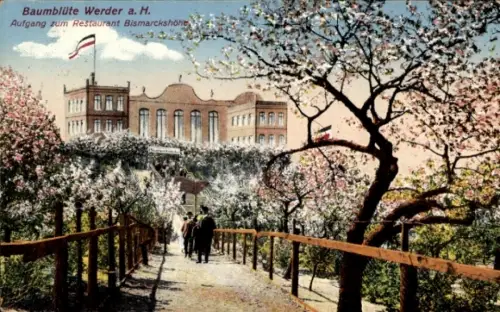 Ak Werder an der Havel, Baumblüte, Restaurant Bismarckshöhe, blühende Bäume, Spaziergänger