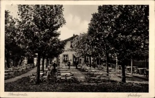 Ak Oberoderwitz Oderwitz in der Oberlausitz, Spitzberg