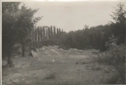Original Foto Berlin Wedding, Volkspark Rehberge, um 1946, ca. 12x17 cm