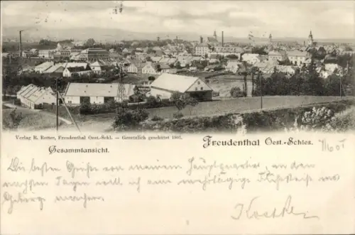 Ak Bruntál Freudenthal Region Mährisch Schlesien, Gesamtansicht