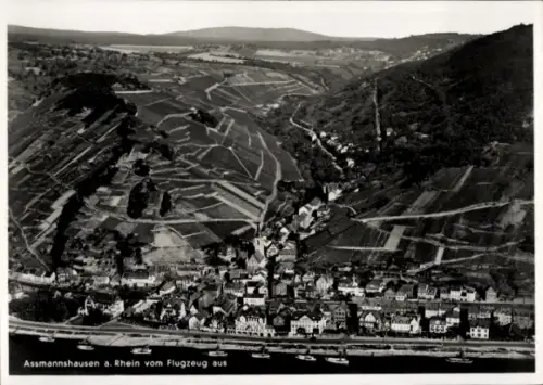 Ak Assmannshausen Rüdesheim am Rhein, Luftaufnahme von  Weinberge, Rhein
