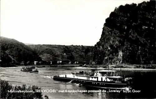 Ak Sankt Goarshausen am Rhein, Loreley, Motorboot, Trekvogel