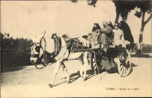Ak Cairo Kairo Ägypten, Ready for a drive, Fuhrwerk